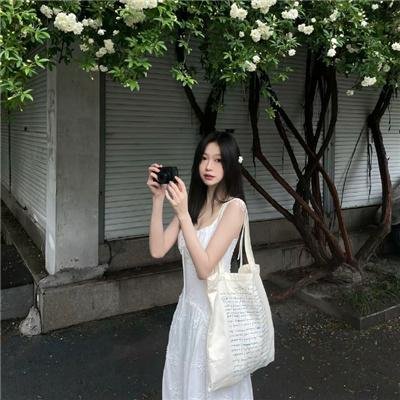 好家伙先生